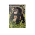 RODDERS & ASH A5 DRAWING